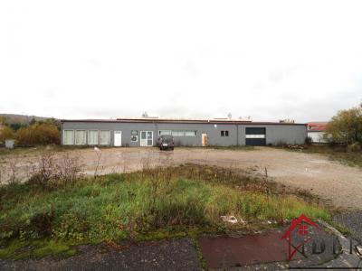 Acheter Commerce Neufchateau 110000 euros