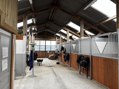 Acheter Prestige 210 m2 Agon-coutainville
