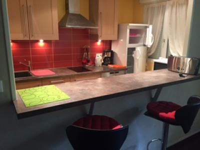 For rent Lyon-8eme-arrondissement 2 rooms 47 m2 Rhone (69008) photo 2