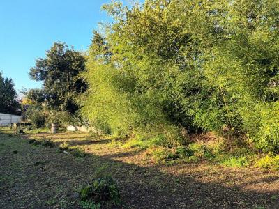 For sale 10 MIN A PIED DU MARCHE Charente maritime (17000) photo 2