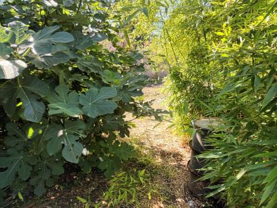 For sale 10 MIN A PIED DU MARCHE Charente maritime (17000) photo 3