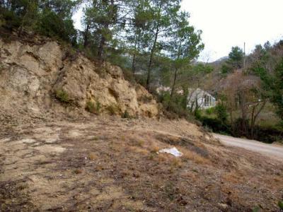 Annonce Vente Terrain  11