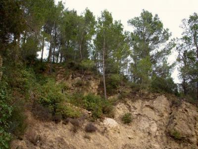 Acheter Terrain 