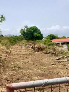 For sale Vieux-habitants 5000 m2 Guadeloupe (97119) photo 0