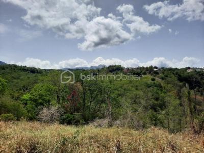 Acheter Terrain Vieux-habitants Guadeloupe