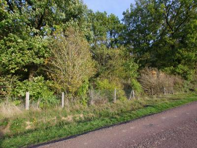 Annonce Vente Terrain Saint-germain-des-pres 45