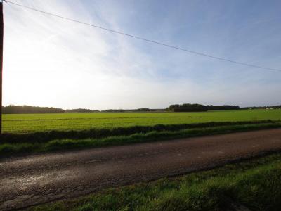 Acheter Terrain 2663 m2 Saint-germain-des-pres