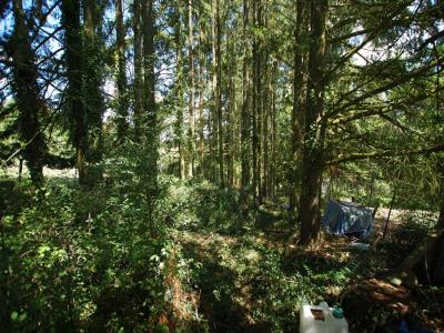 Acheter Terrain Saint-germain-des-pres 10000 euros