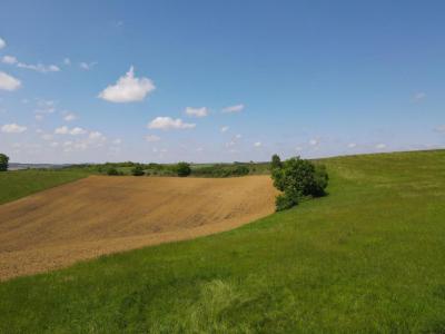 For sale Barran L'-ISLE-DE-NOE 10 rooms 394 m2 Gers (32350) photo 3