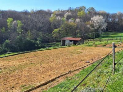 Acheter Maison 177 m2 Blajan