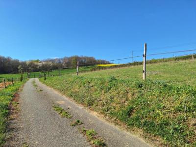 Acheter Maison Blajan Haute garonne