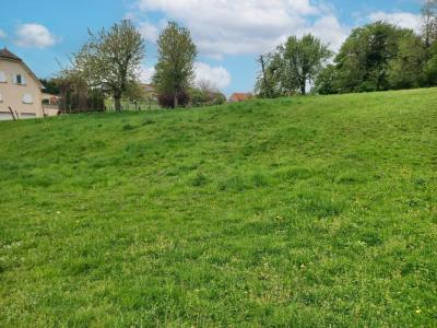 For sale Saint-dizier-l'eveque 5 rooms 123 m2 Belfort (90100) photo 1