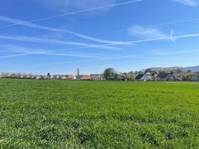 Annonce Vente 5 pices Maison Voray-sur-l'ognon 70
