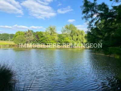 Annonce Vente Prestige Lamotte-beuvron 41