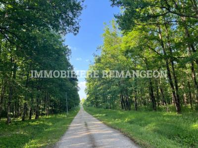 Acheter Prestige 164 m2 Lamotte-beuvron