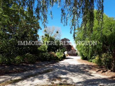 Acheter Prestige Lamotte-beuvron 689000 euros