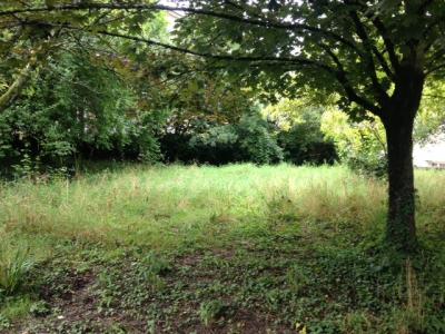 For sale Gujan-mestras 6 rooms 140 m2 Gironde (33470) photo 3
