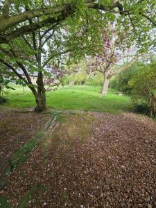 For sale Neuville-en-ferrain 6 rooms 133 m2 Nord (59960) photo 4