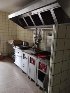 For sale Luxeuil-les-bains 850 m2 Haute saone (70300) photo 3
