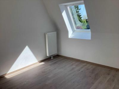 Annonce Location 2 pices Appartement Willems 59