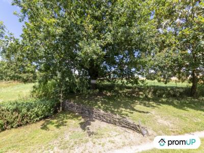 Acheter Terrain 1110 m2 Guenviller