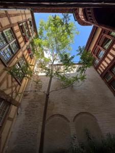 For rent Troyes 1 room 21 m2 Aube (10000) photo 1