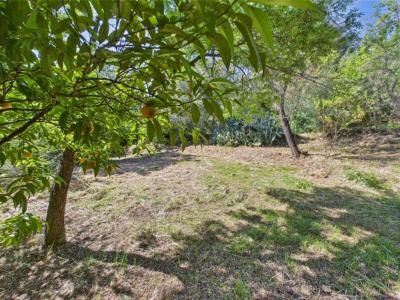 For sale Peri 5 rooms 131 m2 Corse (20167) photo 3
