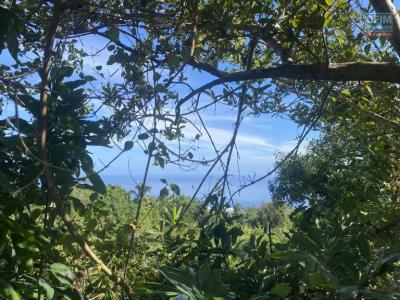 Annonce Vente Terrain Saint-paul 974