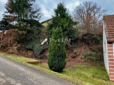 Acheter Maison 110 m2 Walschbronn