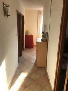 For rent Furiani 2 rooms 45 m2 Corse (20600) photo 3