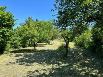 Acheter Maison  Charente