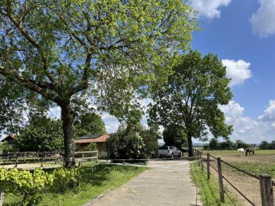 For sale Martres-de-riviere 7 rooms 228 m2 Haute garonne (31210) photo 1