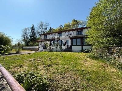 Annonce Vente Immeuble Marnay-sur-marne 52