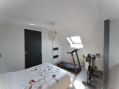 Acheter Appartement Selestat 459000 euros