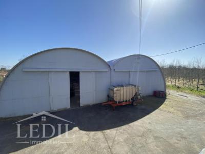 Acheter Local commercial 1753 m2 Cazaubon