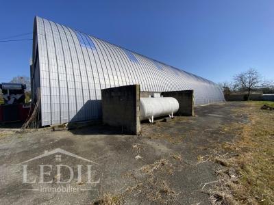 Acheter Local commercial Cazaubon Gers