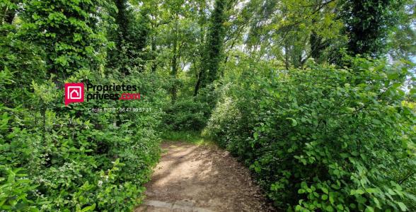 Annonce Vente Terrain Brignoles 83