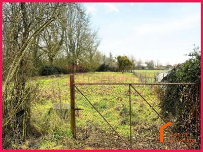 Acheter Maison 117 m2 Crecy-en-ponthieu
