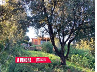 Annonce Vente 6 pices Maison Sainte-lucie-de-porto-vecchio 20