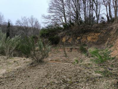 Acheter Terrain Champagney 29000 euros