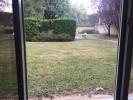 For rent Apartment Lyon-8eme-arrondissement 47 m2 2 pieces