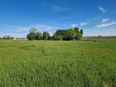 For sale 1388 m2 Gironde (33210) photo 0