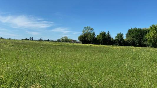 Acheter Terrain  71500 euros