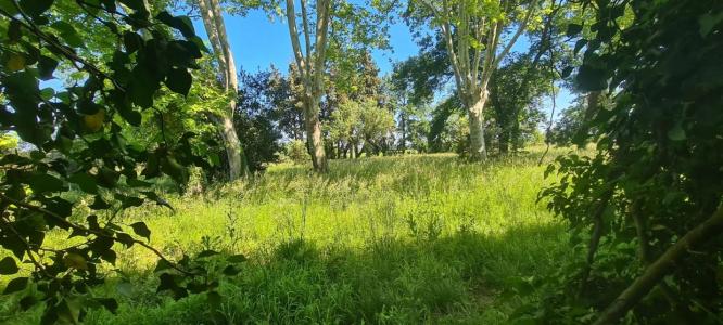 For sale 3 rooms 160 m2 Vaucluse (84350) photo 3