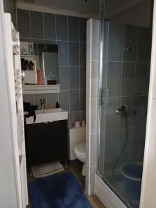 For sale AVENUE PIERRE BROSSOLETTE 2 rooms 26 m2 Aube (10000) photo 3