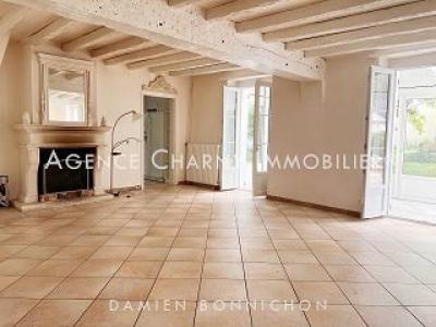 Acheter Maison Chatillon-coligny Loiret