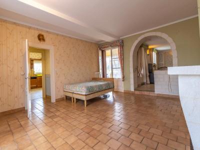 Annonce Vente 5 pices Maison Selles-sur-cher 41