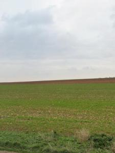 For sale Dompierre-sur-mer 337 m2 Charente maritime (17139) photo 0