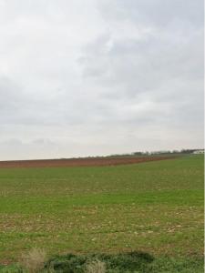 For sale Dompierre-sur-mer 337 m2 Charente maritime (17139) photo 2