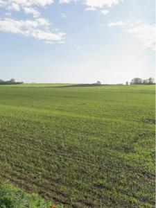 For sale Ballon 717 m2 Charente maritime (17290) photo 0